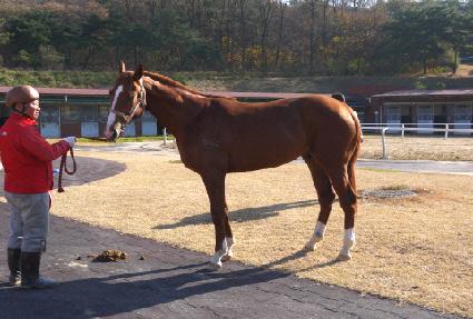 Ŭ������Ÿ ����