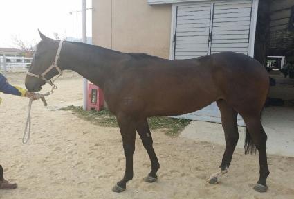 ���̽�õ�� ����