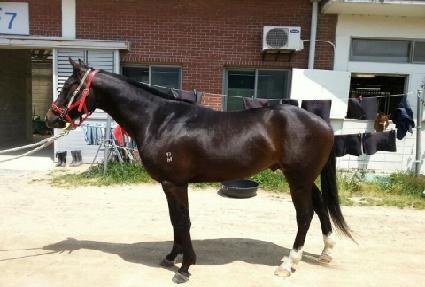 ������ĸƾ ����