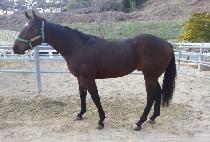 �������� (YEONGUNG JIJON) ����