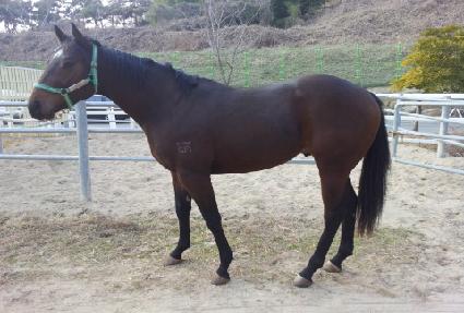 �������� ����