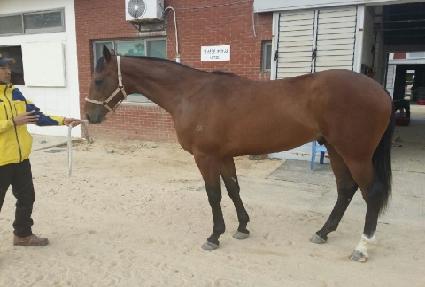 ������� ����