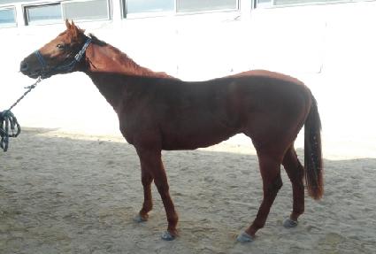 �泲��ȭ ����