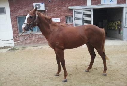 �����¼��� ����