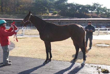 ��Ÿ���� ����