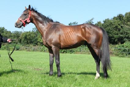 ��ü���� ����