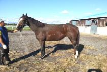 SPARE THE ROD picture