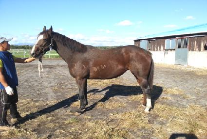 ��������� ����