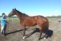 FRENCH NANNY picture