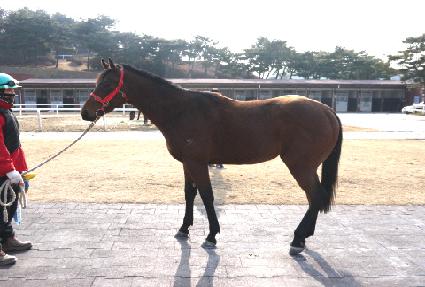 ����ĸƾ ����