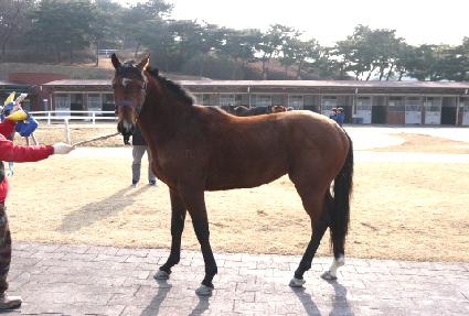 ��ĸƾ ����