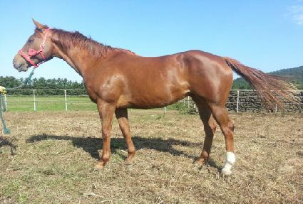 ��嵵�� ����