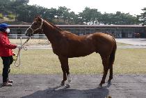 ���۰�Ÿ (SUPER GANGTA) ����