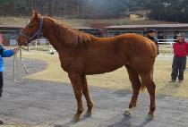 �������� (BAEKJEON NOJANG) ����