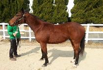 �¸���ũ (SEUNGNI PARK) ����