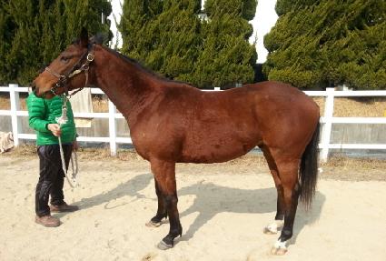 �¸���ũ ����