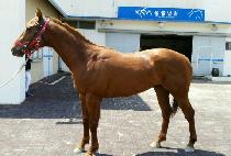 ���ũ (BIG BANK) ����