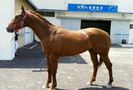 ���ũ ����