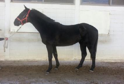 ���ۼֶ� ����