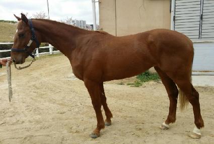 ĳġŸ�� ����