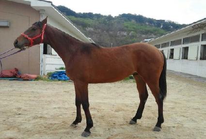 ���̳��ͼ� ����