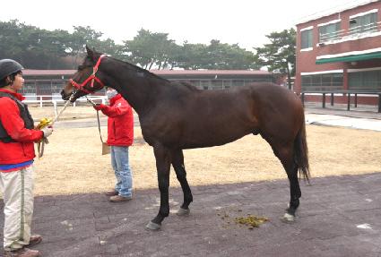 õ���� ����