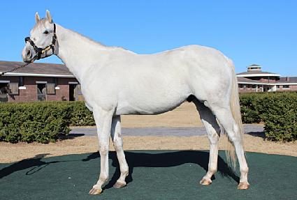 �Ѽ� ����