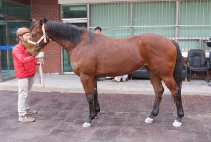 ����ö�� ����