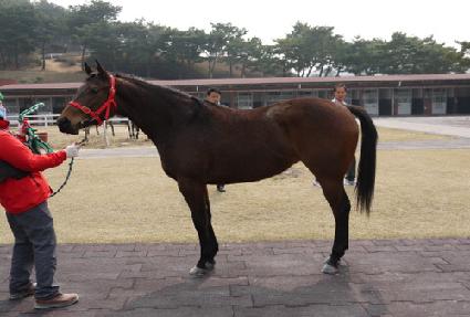 ȸ�����ٶ� ����