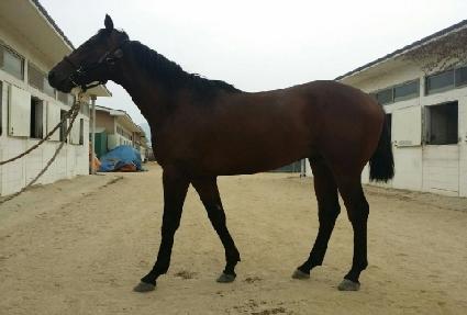 ���̳��ʹ�� ����