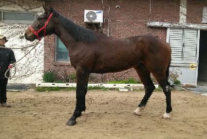 ���̵���� ����