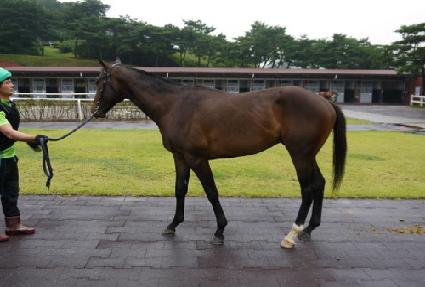 �¸���� ����