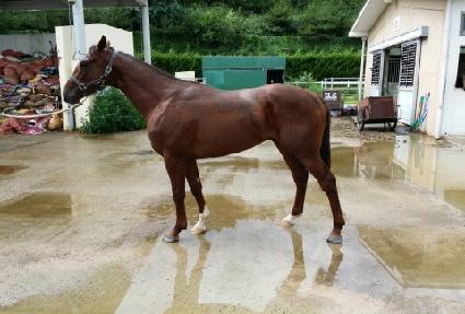 ��������� ����