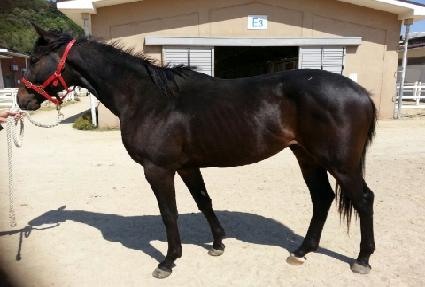 �۽�Ʈ���� ����