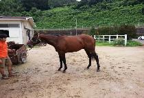 �������� (THE PROPHET) ����