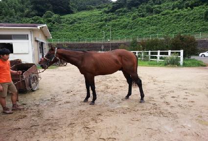 �������� ����