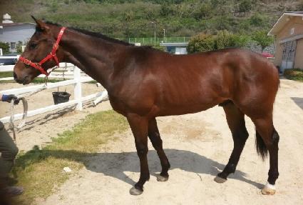 ��ǳ�ְ� ����