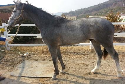 ��ٸ��� ����