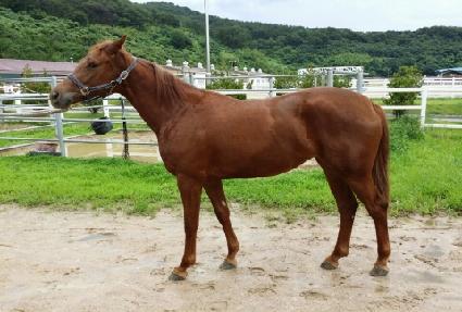 ��ٽ�Ÿ ����