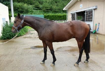 �泲������ ����