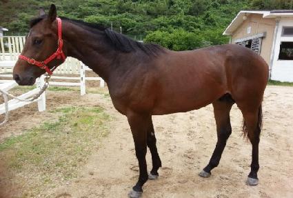 �ټ��� ����