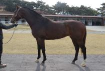 ��ü������ (VINCERO K) ����