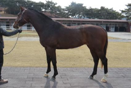 ��ü������ ����