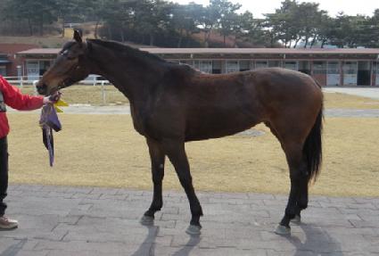 ����Ʋ������ ����