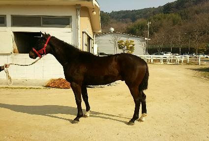 �ŷµ�� ����