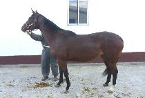 STORMY LOGIC picture