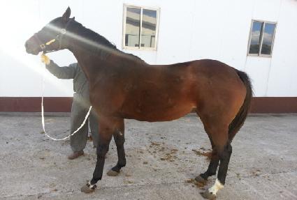 ����ι̽� ����