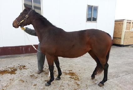 ����Ŭ������ ����