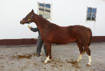 GONE GOODBYE picture