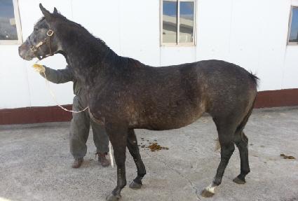 ��������Ʈ ����